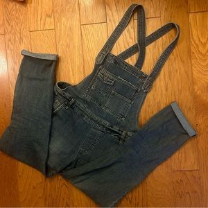 Free people denim overalls